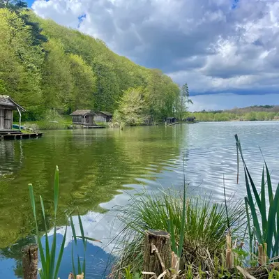 NATURAL_VENUE