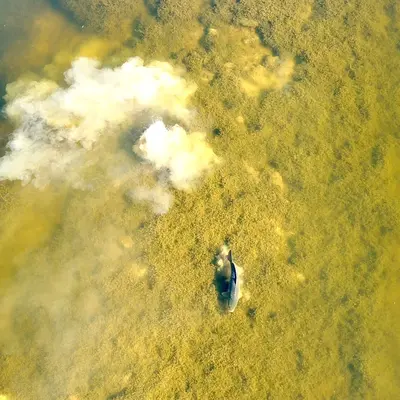 PEAT_PIT_LAKE